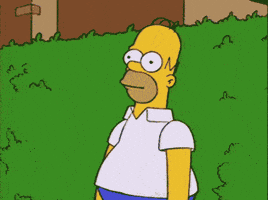 Homer Simpson Bush GIF meme template