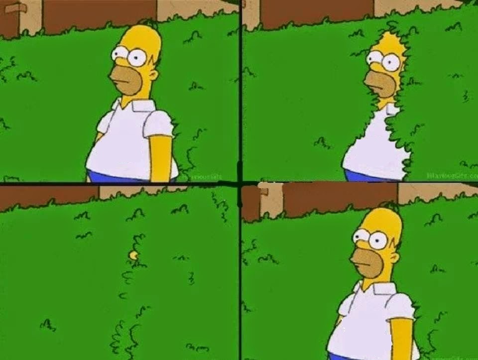 Homer Simpson Bush meme template