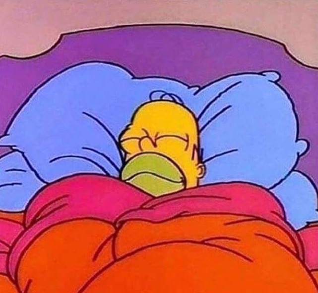 Homer Simpson Sleeping meme template