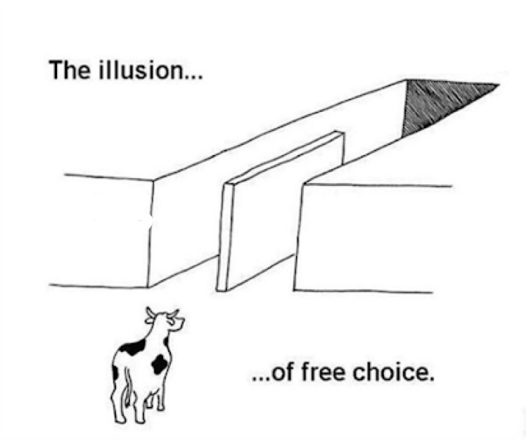 Illusion Of Free Choice With Caption meme template