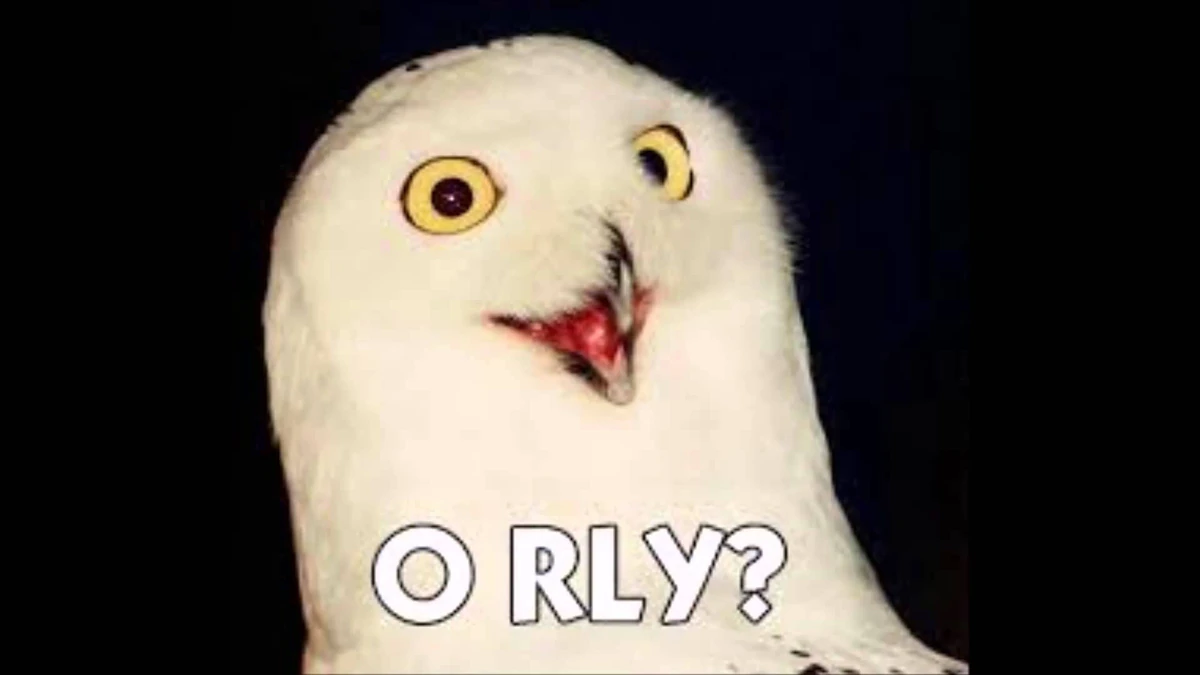 O RLY Owl With Caption meme template