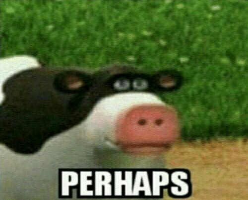 Perhaps (Captioned) meme template - The same Barnyard cow staring at the viewer, but this version includes the word "PERHAPS" printed in large white Impact-style