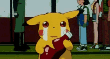 Pikachu Ketchup GIF meme template