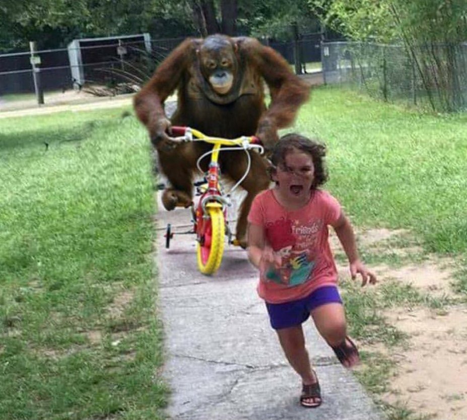 Run Bike Monster meme template