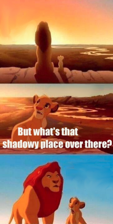Simba Shadowy Place With Caption meme template