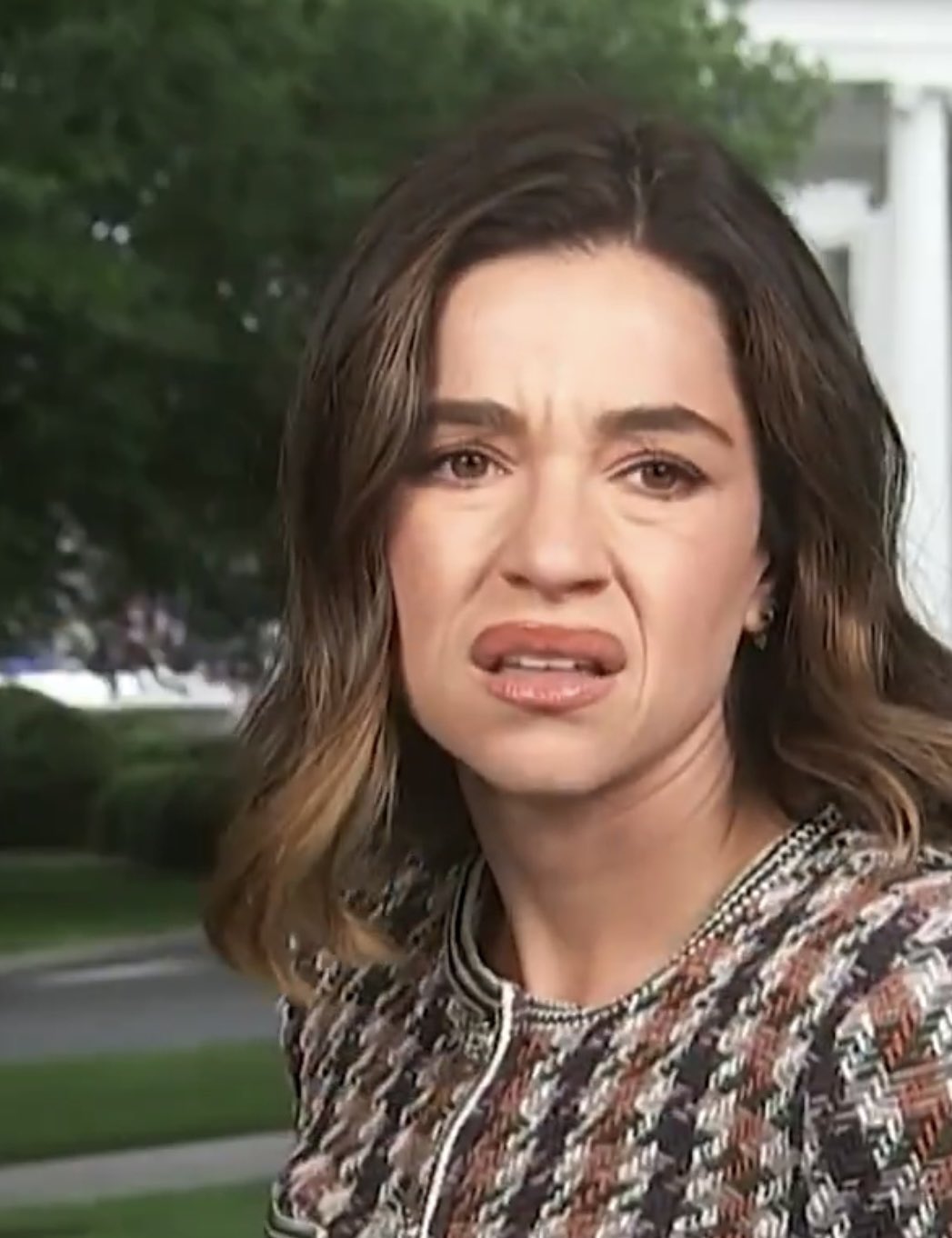 What Is That meme template - A close-up of NBC reporter Julie Tsirkin on the White House lawn with a confused, almost disgusted expression on her face. Sh