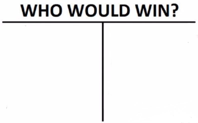 Who Would Win meme template - A white background with bold black text reading "WHO WOULD WIN?" across the top. Below, two empty panels sit side by side, se