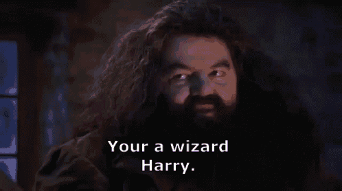 You're A Wizard Harry GIF meme template